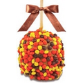 Reeses Peanut Butter Chip Caramel Apple w/ Belgian Milk Chocolate